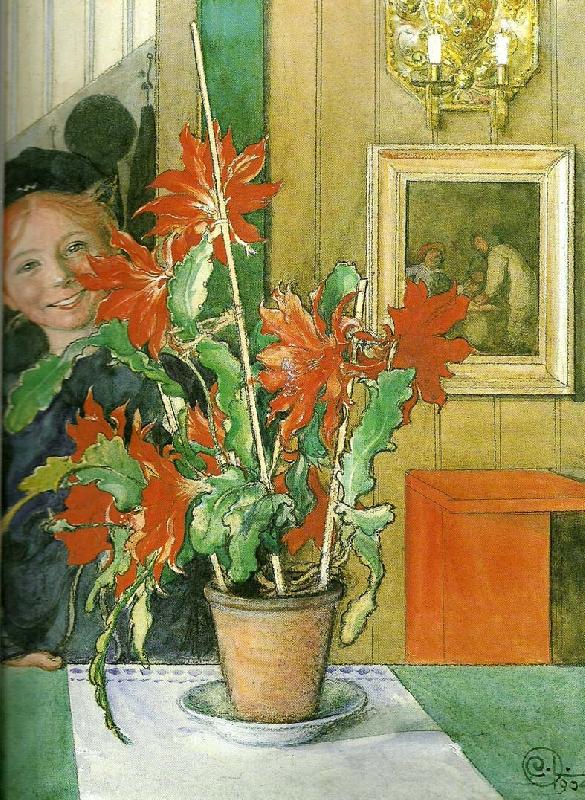 Carl Larsson britas kaktus-skrattet France oil painting art